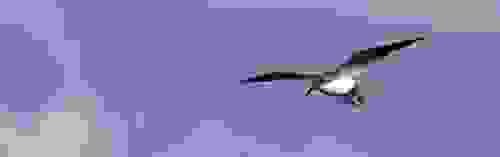 AWS re:Invent 2014 Survey