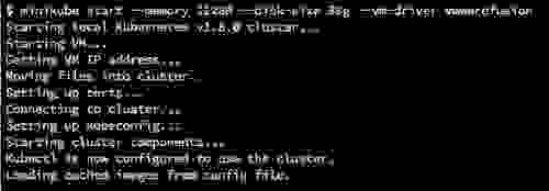 Minikube startup output