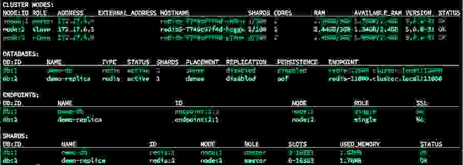 rladmin cluster status