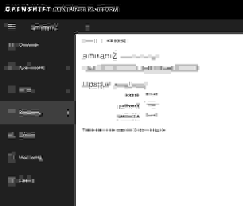OpenShift "reveal secret" screen