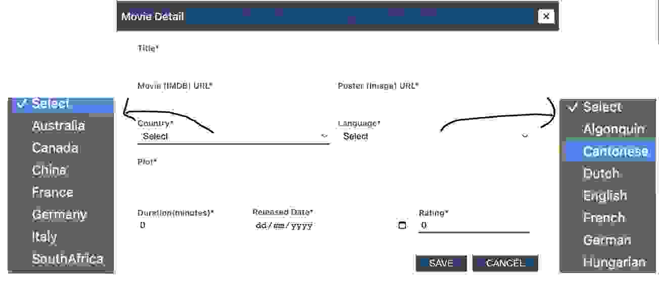movie interface language selection