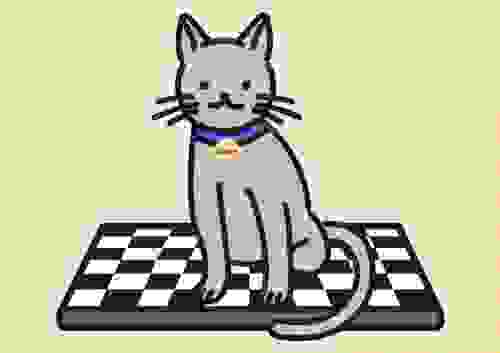 A Guide to Understanding JSON Databases