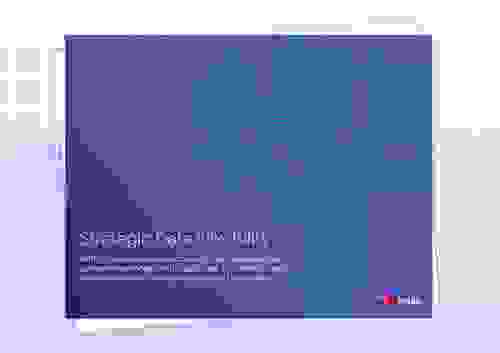 Strategic Data Flexibility