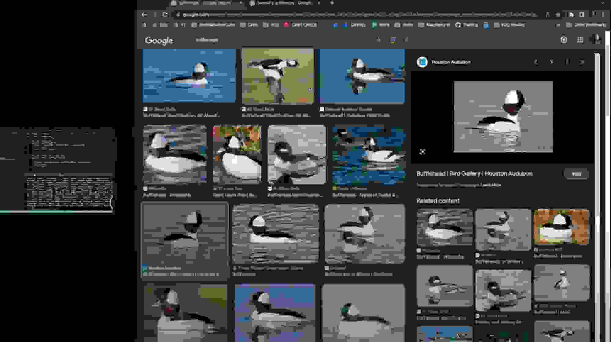 search results for loons