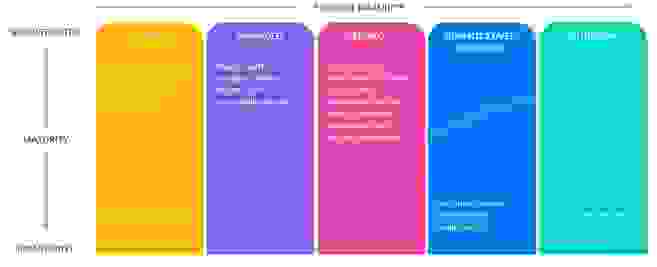 Data maturity assessment